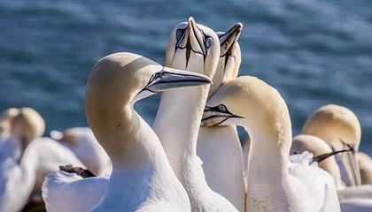 镇江伴游，定制QQ：3494206190微信：act1322